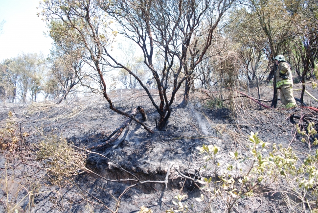 İstanbul'da yangınlara karşı 7 gün 24 saat teyakkuz